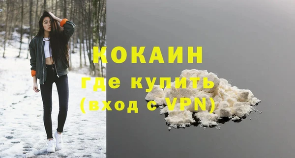 метадон Алексин