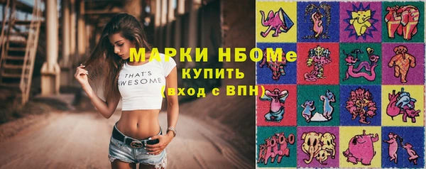 метадон Алексин